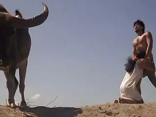 პეტი მიჩოვა