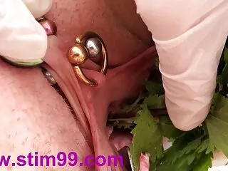 ნერდი წითურს უნდა უყურო