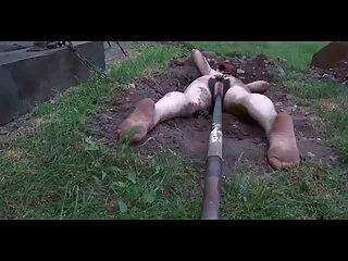 რიმჯობი და სიღრმე შეყვარებულის მიერ